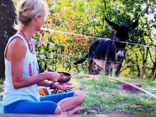 Yoga and holidays/Lago di Bolsena