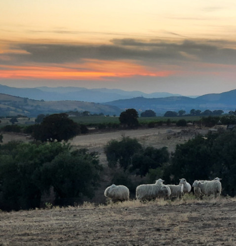 ....a beautiful landscape from Tuscany